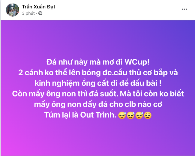 NHM Việt Nam ồ ạt “ném đá” HLV Troussier- Ảnh 19.