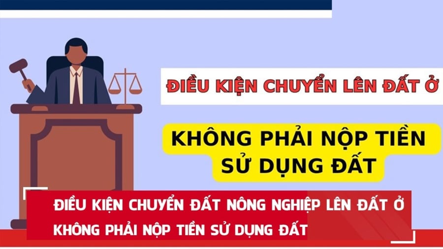 Chuyển đổi mục đích sử dụng đất