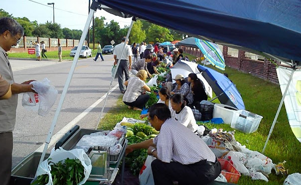 Hoá ra ở Mỹ cũng có chợ cóc y hệt như Việt Nam, người mua ngồi amp;#34;chồm hổmamp;#34; chọn hàng - 6