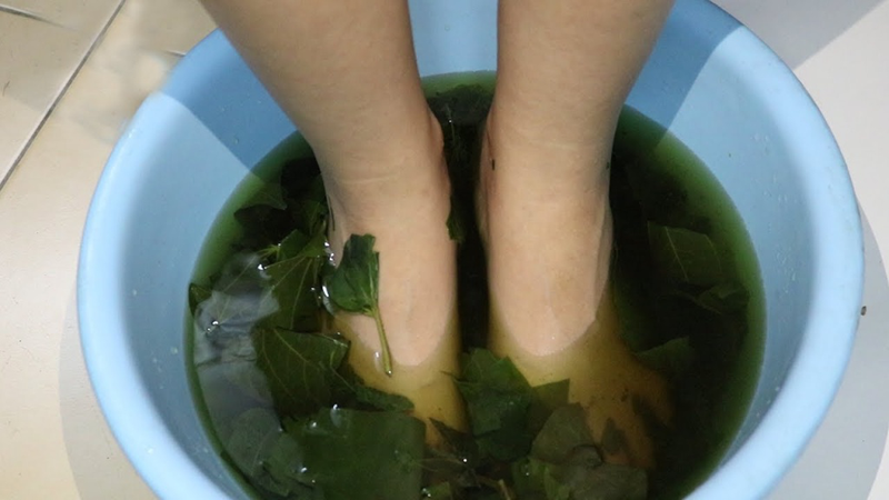 Ngâm chân bằng lá lốt thường xuyên có tốt không? 3