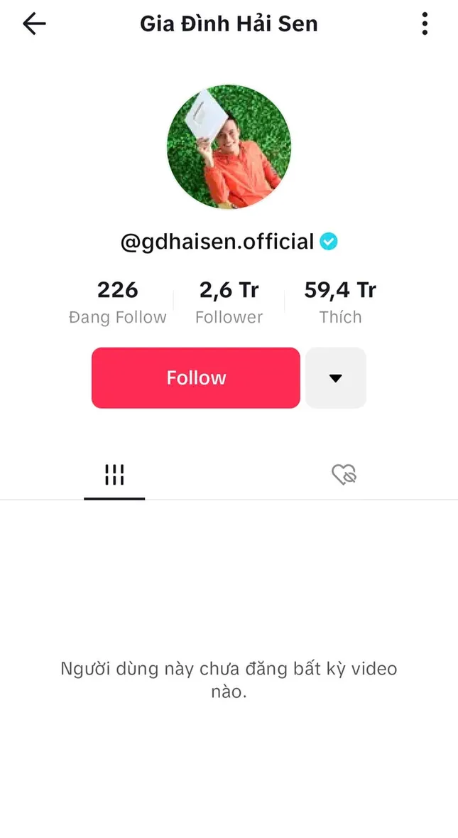 Vì sao chủ kênh TikTok 'Gia đình Hải Sen' bị bắt? ảnh 4