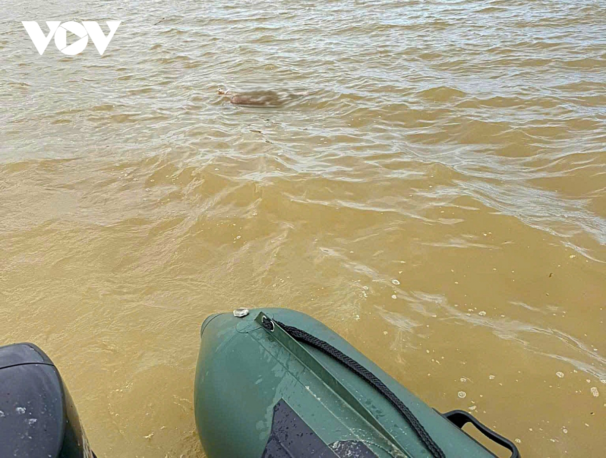 3 bo con mat tich, tim thay thi the 2 be gai tren song lam hinh anh 1