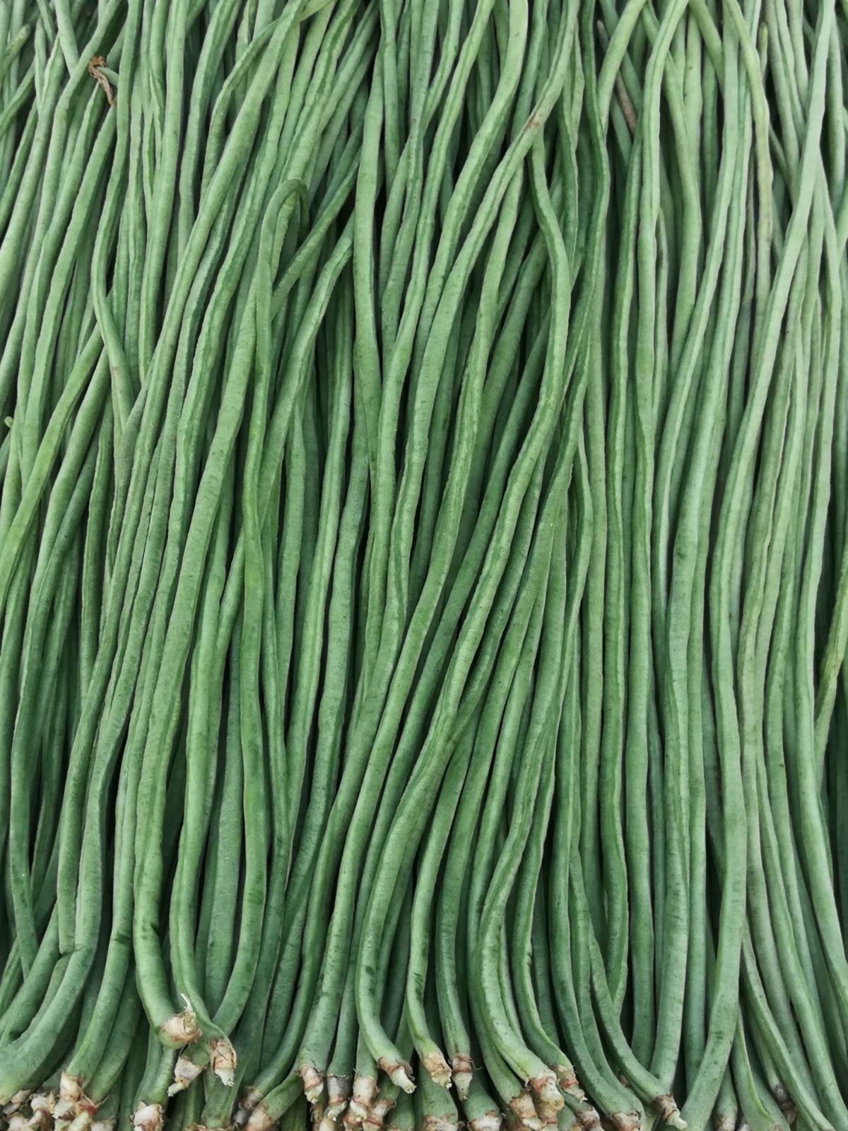 Loại rau dài nhất Việt Nam, vừa bổ xương vừa ngừa ung thư, ở quê mọc um tùm như cỏ - Ảnh 2.