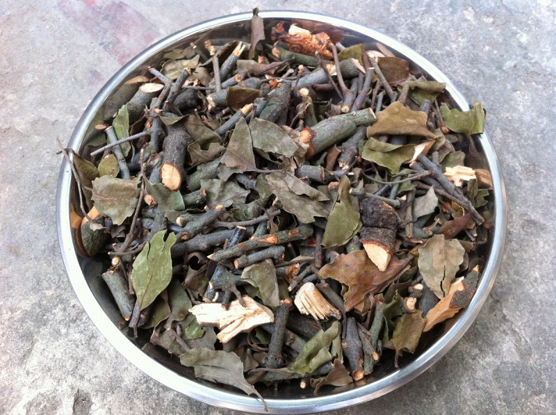 Tầm gửi được dùng như một vị thuốc Đông y để chữa các loại bệnh gan, thận, xương khớp